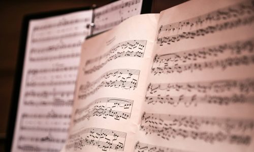 kati-hoehl-BE-kfosZFtg-unsplash